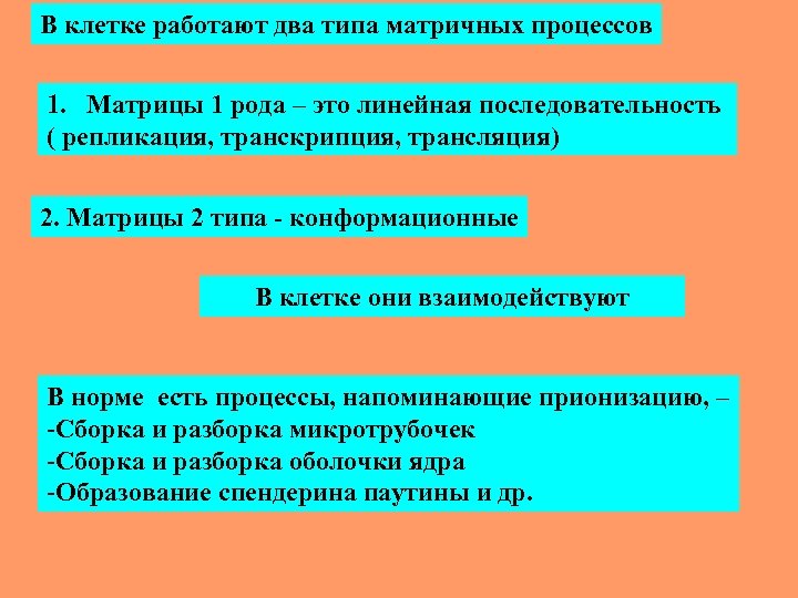 В клетке работают два типа матричных процессов 1. Матрицы 1 рода – это линейная