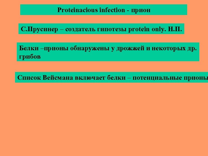 Proteinacious infection - прион С. Прусинер – создатель гипотезы protein only. Н. П. Белки