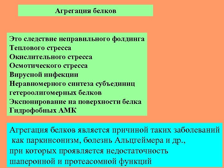 Агрегация белков Это следствие неправильного фолдинга Теплового стресса Окислительного стресса Осмотического стресса Вирусной инфекции