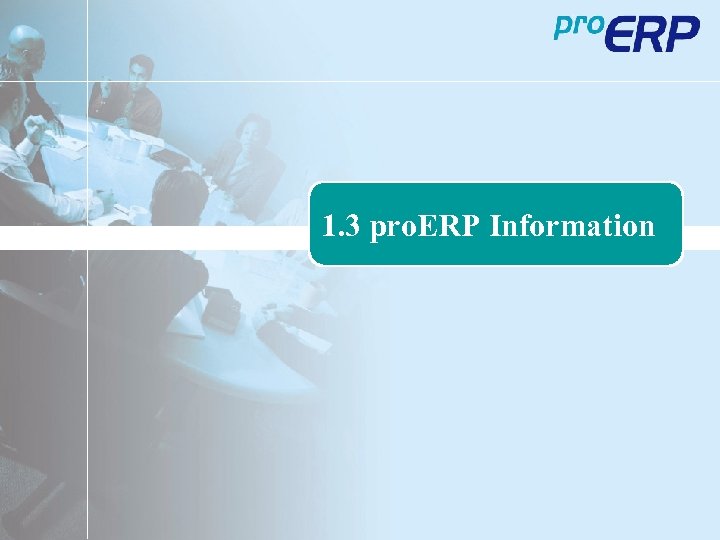 1. 3 pro. ERP Information 