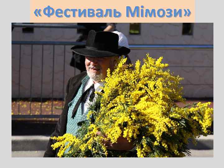  «Фестиваль Мімози» 