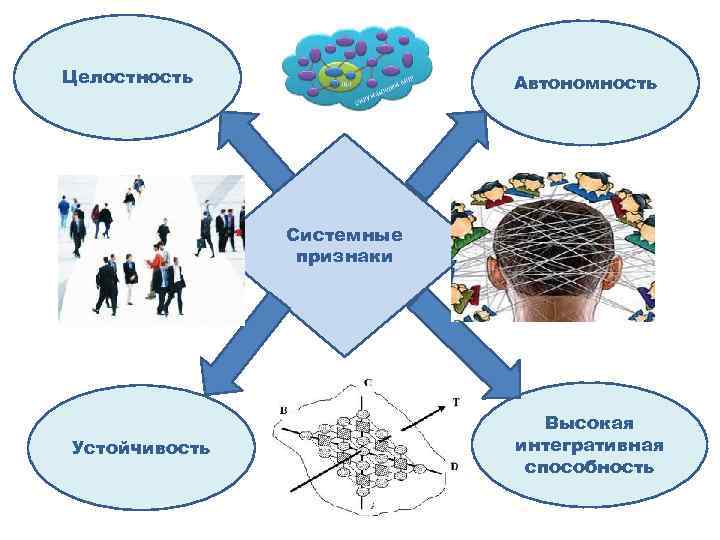 Целостность Автономность Системные признаки Устойчивость Высокая интегративная способность 