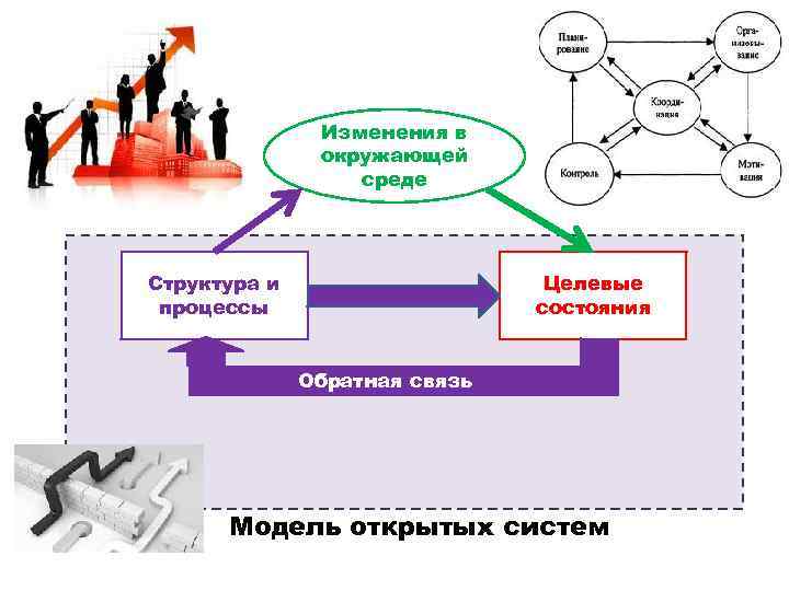 Изменения в окружающей среде Структура и процессы Целевые состояния Обратная связь Модель открытых систем