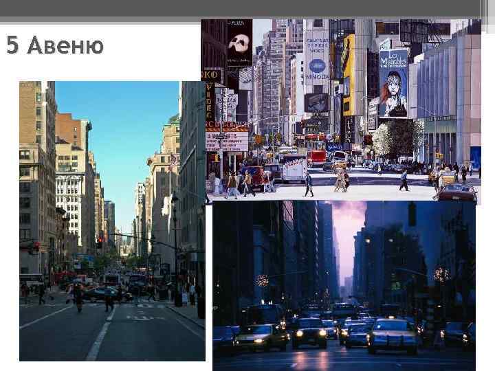 5 Авеню 