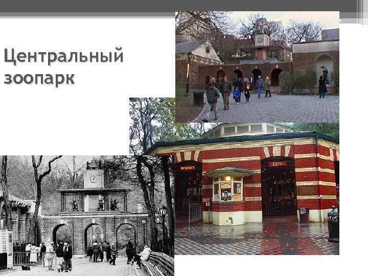 Центральный зоопарк 