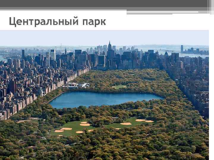 Центральный парк 