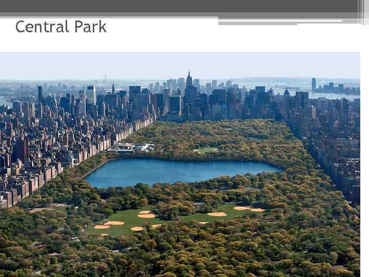 Central Park 