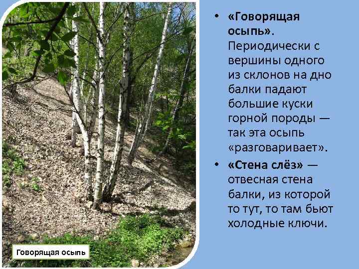  • «Говорящая осыпь» . Периодически с вершины одного из склонов на дно балки