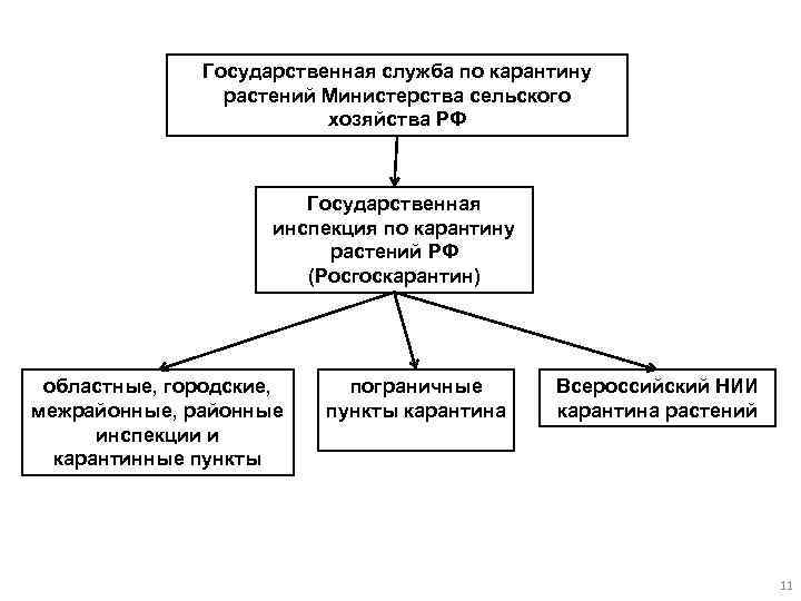 Государственная служба по карантину растений Министерства сельского хозяйства РФ Государственная инспекция по карантину растений