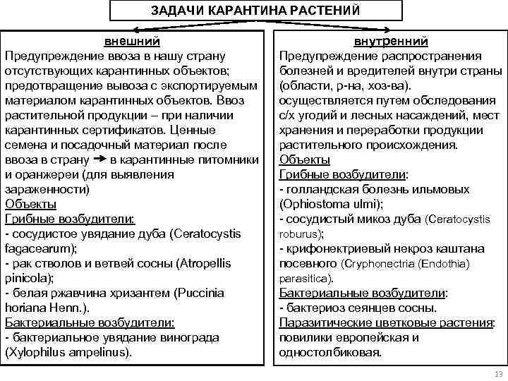 ЗАДАЧИ КАРАНТИНА РАСТЕНИЙ внешний Предупреждение ввоза в нашу страну отсутствующих карантинных объектов; предотвращение вывоза