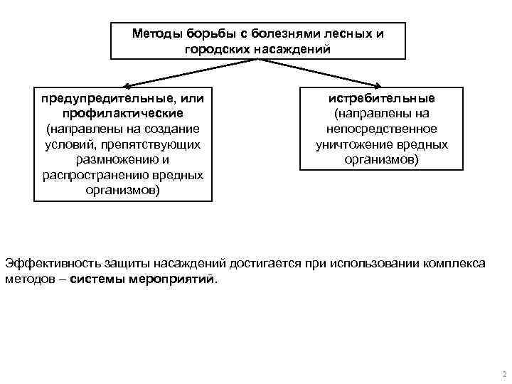 Методы борьбы с болезнями лесных и городских насаждений предупредительные, или профилактические (направлены на создание