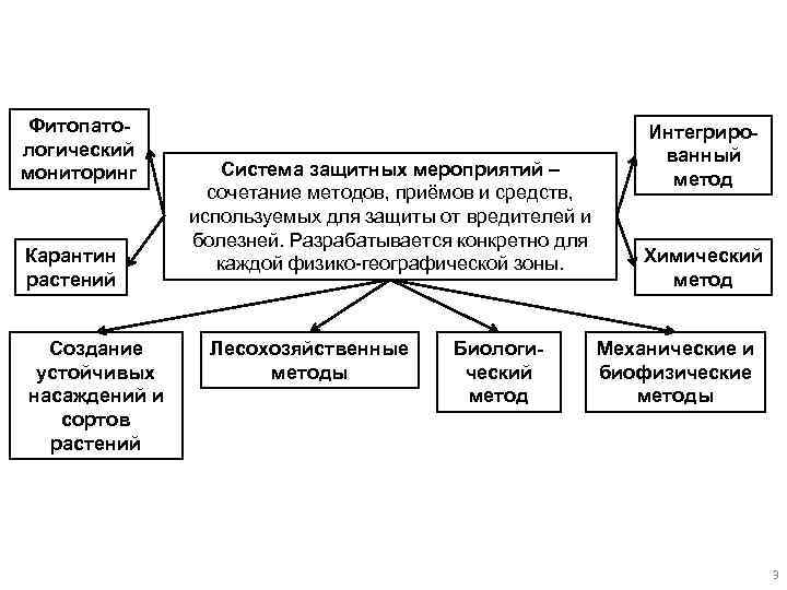 Фитопатологический мониторинг Карантин растений Создание устойчивых насаждений и сортов растений Система защитных мероприятий –