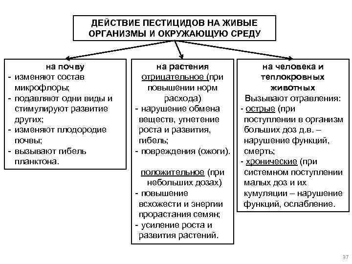 ДЕЙСТВИЕ ПЕСТИЦИДОВ НА ЖИВЫЕ ОРГАНИЗМЫ И ОКРУЖАЮЩУЮ СРЕДУ - на почву изменяют состав микрофлоры;