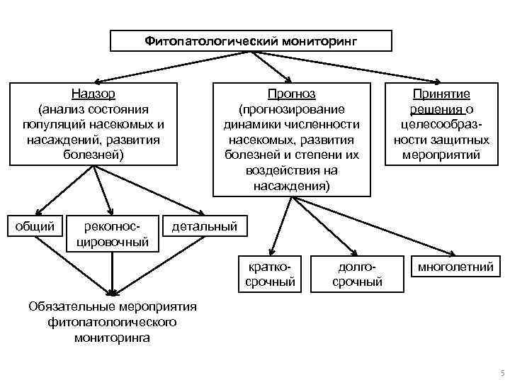 Фитопатологический мониторинг Надзор (анализ состояния популяций насекомых и насаждений, развития болезней) общий рекогносцировочный Прогноз