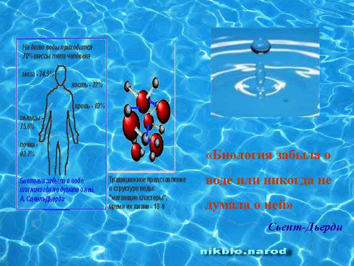  «Биология забыла о воде или никогда не думала о ней» Сьент-Дьерди 