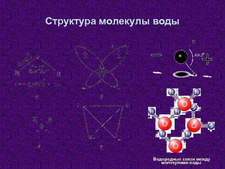 Структура молекулы воды Водородные связи между молекулами воды 