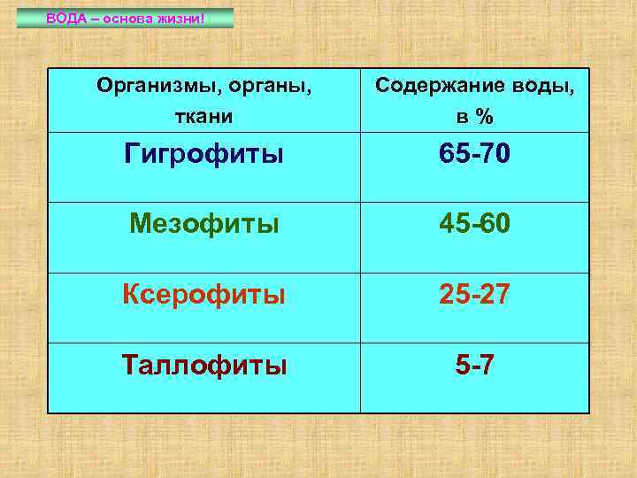 ВОДА – основа жизни! Организмы, органы, ткани Содержание воды, в% Гигрофиты 65 -70 Мезофиты