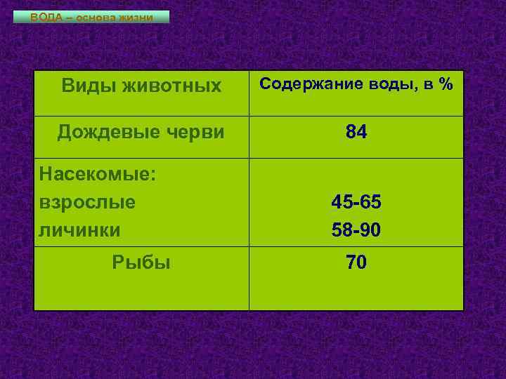 ВОДА – основа жизни Виды животных Содержание воды, в % Дождевые черви 84 Насекомые:
