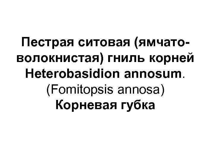 Пестрая ситовая (ямчатоволокнистая) гниль корней Heterobasidion annosum. (Fomitopsis annosa) Корневая губка 