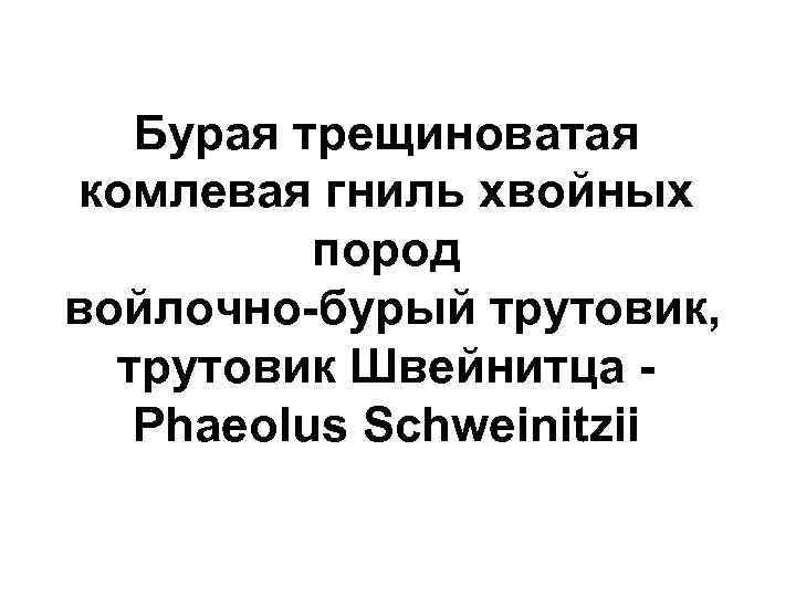 Бурая трещиноватая комлевая гниль хвойных пород войлочно-бурый трутовик, трутовик Швейнитца Phaeolus Schweinitzii 