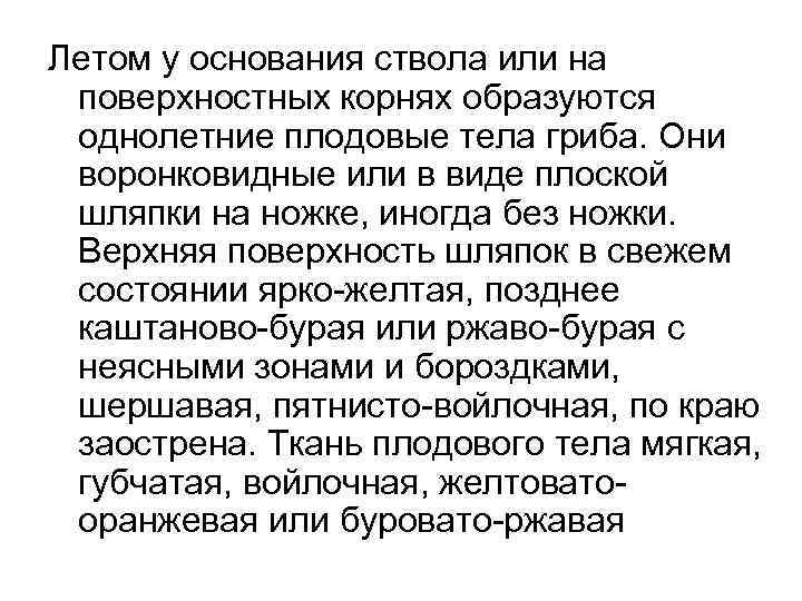 Летом у основания ствола или на поверхностных корнях образуются однолетние плодовые тела гриба. Они