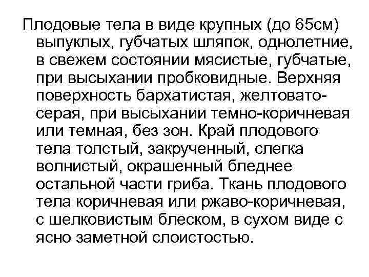 Плодовые тела в виде крупных (до 65 см) выпуклых, губчатых шляпок, однолетние, в свежем