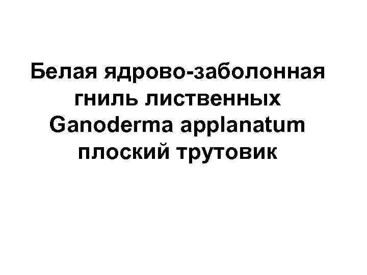 Белая ядрово-заболонная гниль лиственных Ganoderma applanatum плоский трутовик 