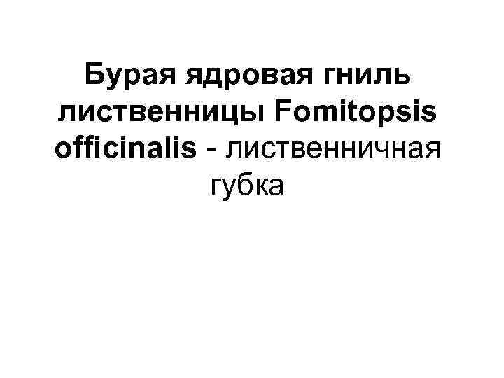 Бурая ядровая гниль лиственницы Fomitopsis officinalis - лиственничная губка 