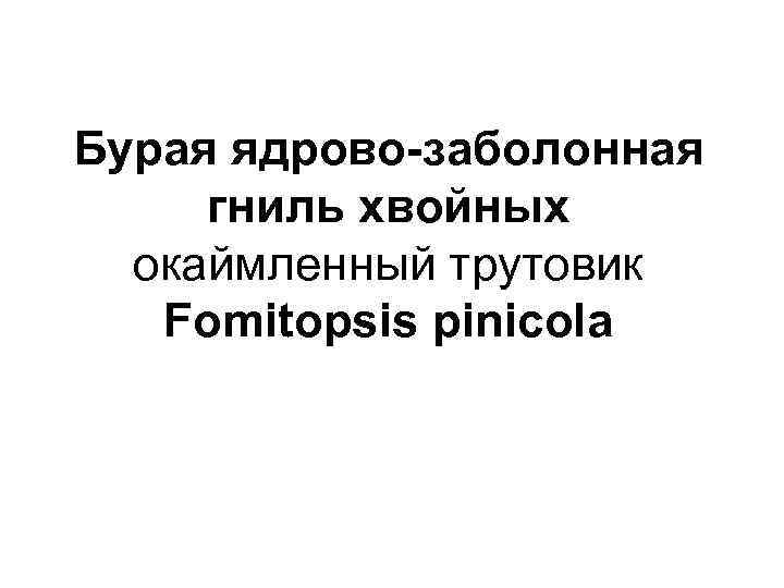 Бурая ядрово-заболонная гниль хвойных окаймленный трутовик Fomitopsis pinicola 