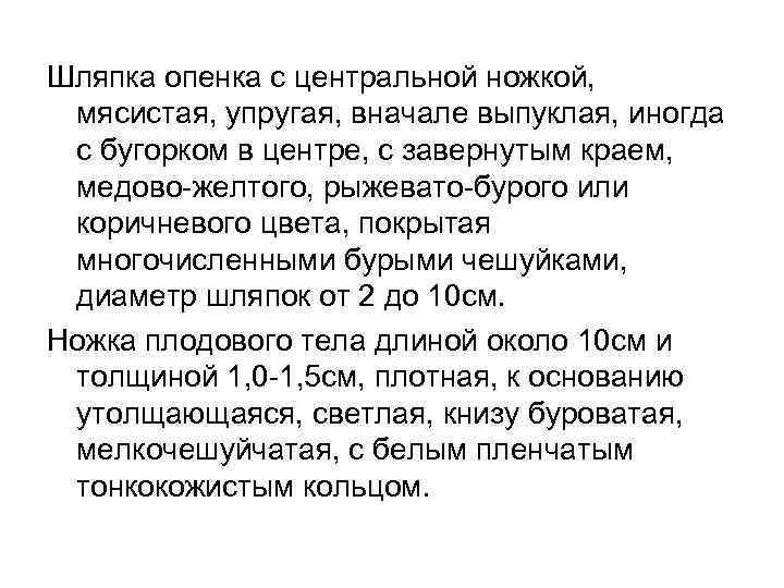 Шляпка опенка с центральной ножкой, мясистая, упругая, вначале выпуклая, иногда с бугорком в центре,