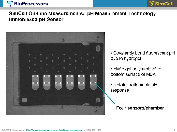 Sim. Cell On-Line Measurements: p. H Measurement Technology Immobilized p. H Sensor • Covalently