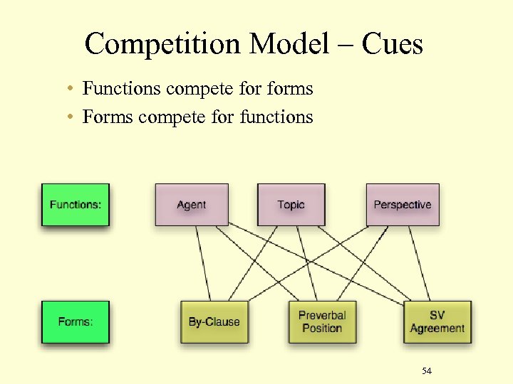 Competition Model – Cues • Functions compete forms • Forms compete for functions 54