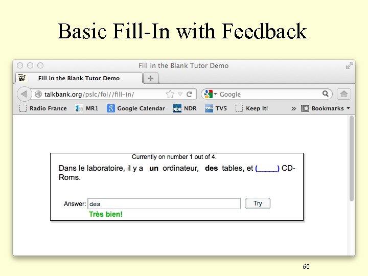 Basic Fill-In with Feedback 60 