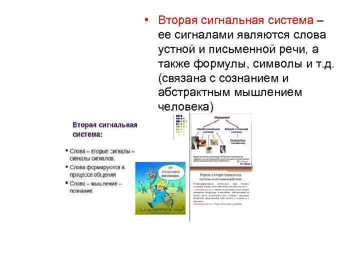  • Вторая сигнальная система – ее сигналами являются слова устной и письменной речи,