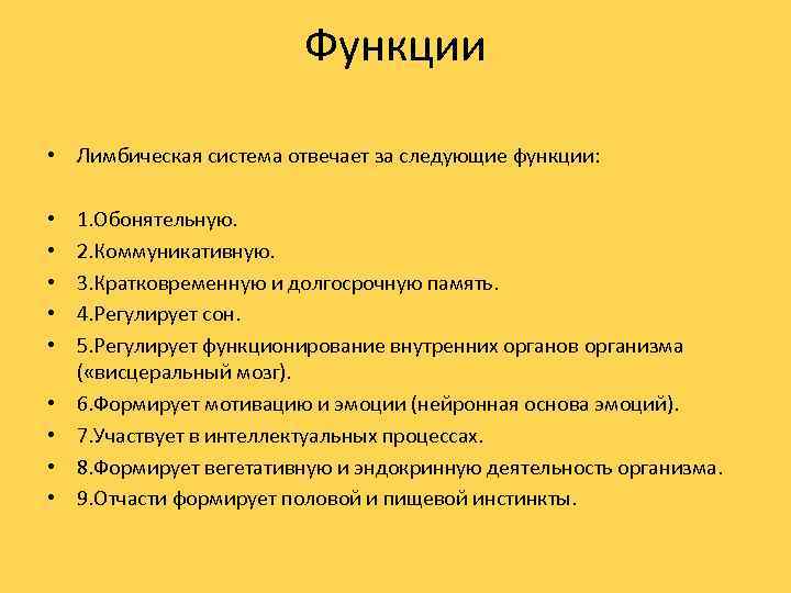 Функции • Лимбическая система отвечает за следующие функции: • • • 1. Обонятельную. 2.