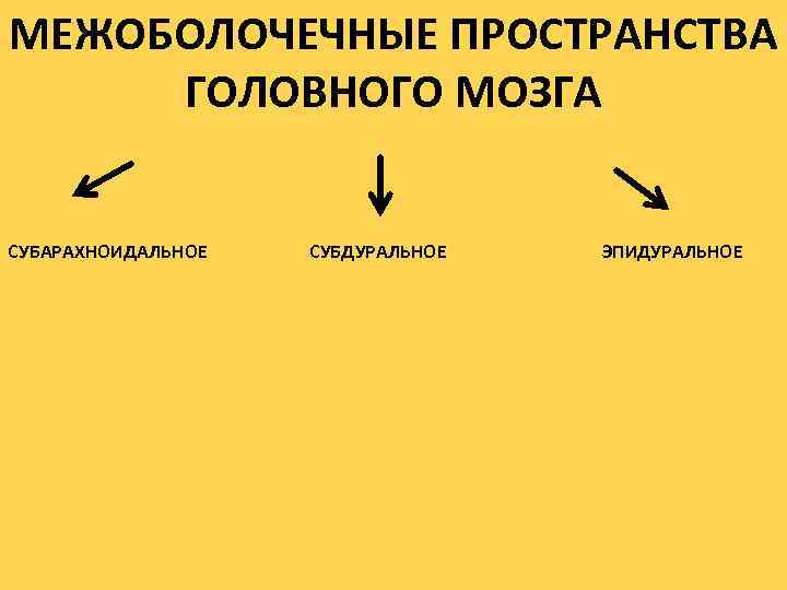 МЕЖОБОЛОЧЕЧНЫЕ ПРОСТРАНСТВА ГОЛОВНОГО МОЗГА СУБАРАХНОИДАЛЬНОЕ СУБДУРАЛЬНОЕ ЭПИДУРАЛЬНОЕ 