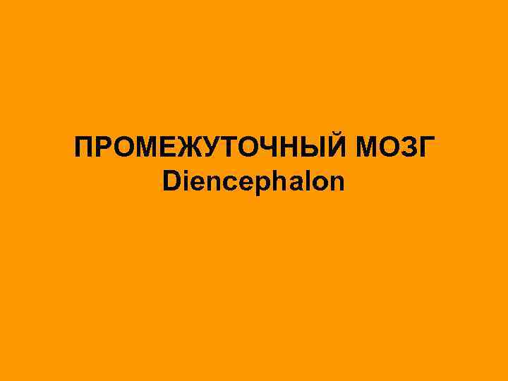 ПРОМЕЖУТОЧНЫЙ МОЗГ Diencephalon 