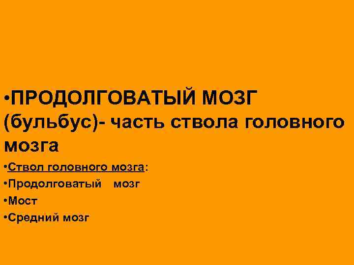  • ПРОДОЛГОВАТЫЙ МОЗГ (бульбус)- часть ствола головного мозга • Ствол головного мозга: •