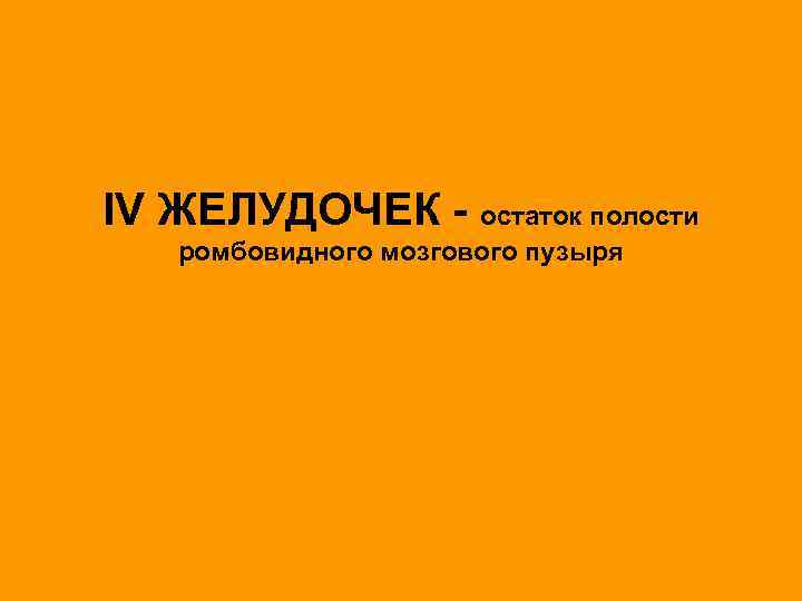 IV ЖЕЛУДОЧЕК - остаток полости ромбовидного мозгового пузыря 