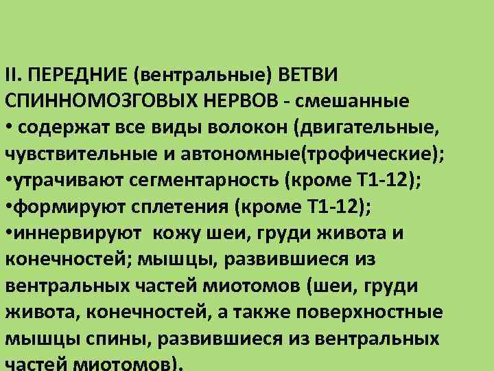 II. ПЕРЕДНИЕ (вентральные) ВЕТВИ СПИННОМОЗГОВЫХ НЕРВОВ - смешанные • содержат все виды волокон (двигательные,