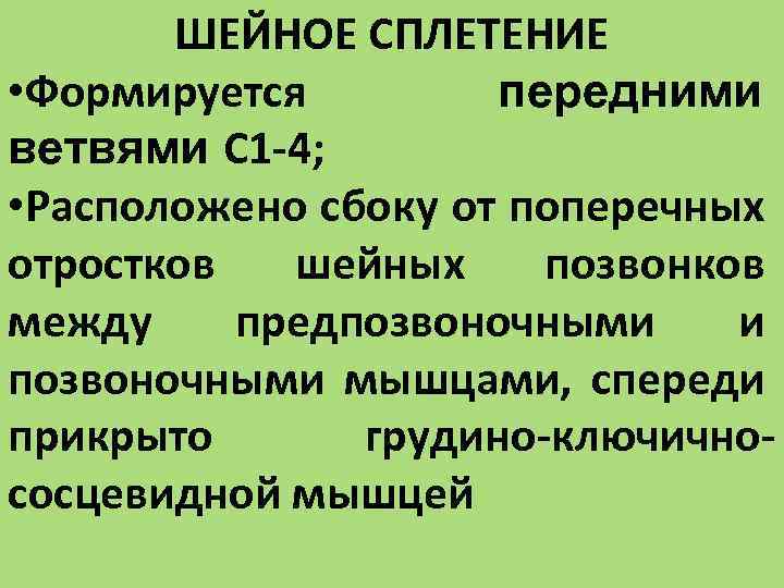 ШЕЙНОЕ СПЛЕТЕНИЕ • Формируется передними ветвями С 1 -4; • Расположено сбоку от поперечных