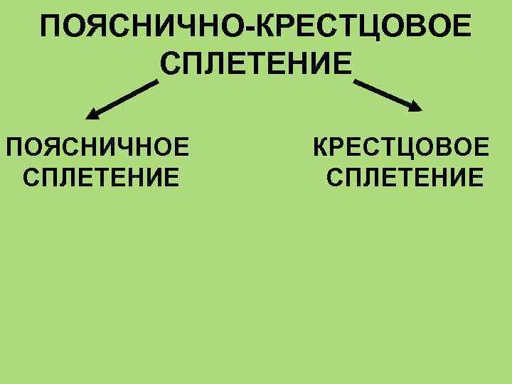 ПОЯСНИЧНО-КРЕСТЦОВОЕ СПЛЕТЕНИЕ ПОЯСНИЧНОЕ СПЛЕТЕНИЕ КРЕСТЦОВОЕ СПЛЕТЕНИЕ 