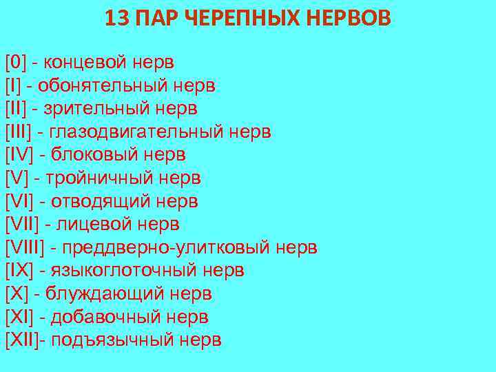 13 ПАР ЧЕРЕПНЫХ НЕРВОВ [0] - концевой нерв [I] - обонятельный нерв [II] -