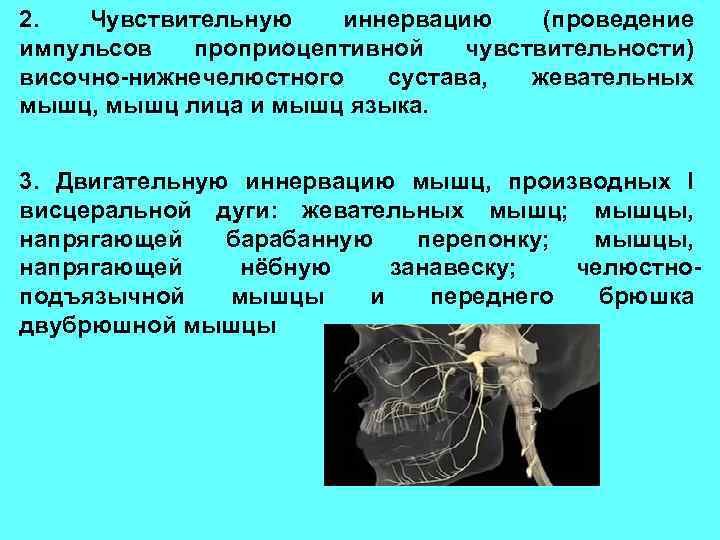 2. Чувствительную иннервацию (проведение импульсов проприоцептивной чувствительности) височно-нижнечелюстного сустава, жевательных мышц, мышц лица и