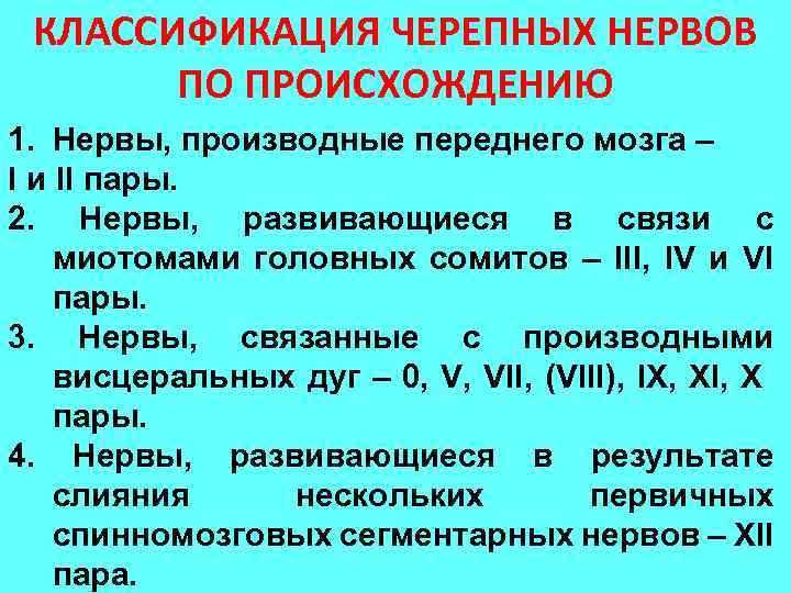 КЛАССИФИКАЦИЯ ЧЕРЕПНЫХ НЕРВОВ ПО ПРОИСХОЖДЕНИЮ 1. Нервы, производные переднего мозга – I и II