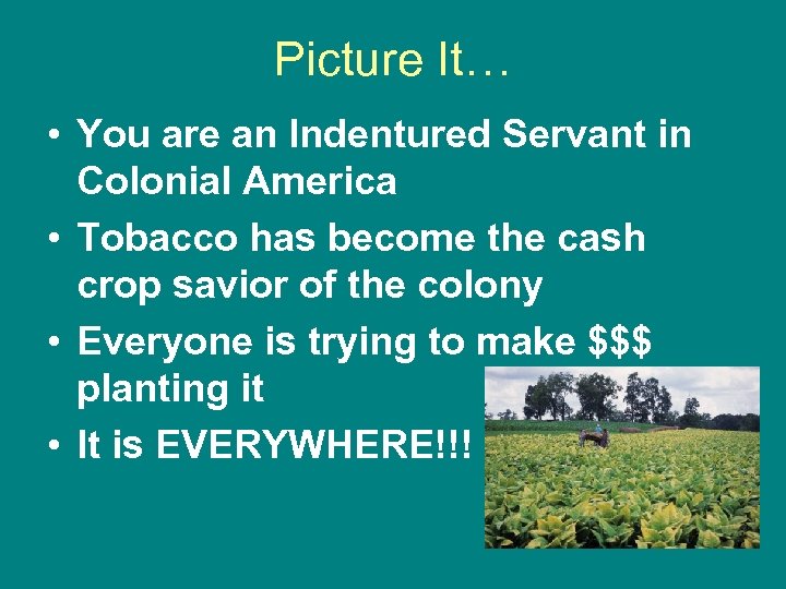 Picture It… • You are an Indentured Servant in Colonial America • Tobacco has