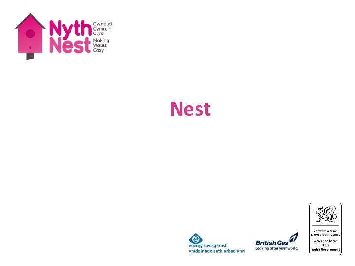 Nest 