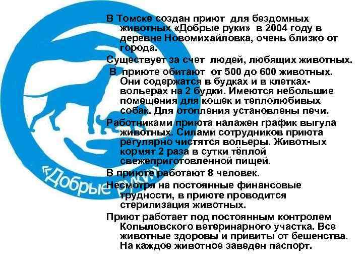 В Томске создан приют для бездомных животных «Добрые руки» в 2004 году в деревне