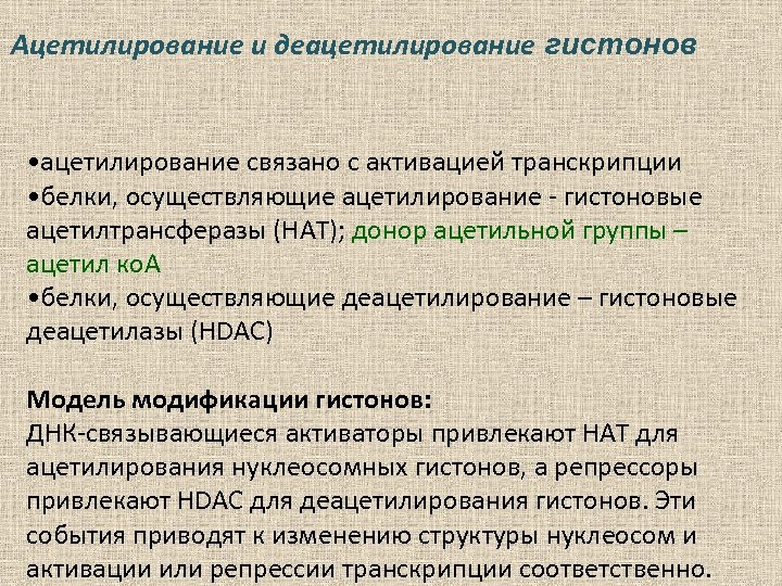 Ацетилирование и деацетилирование гистонов • ацетилирование связано с активацией транскрипции • белки, осуществляющие ацетилирование