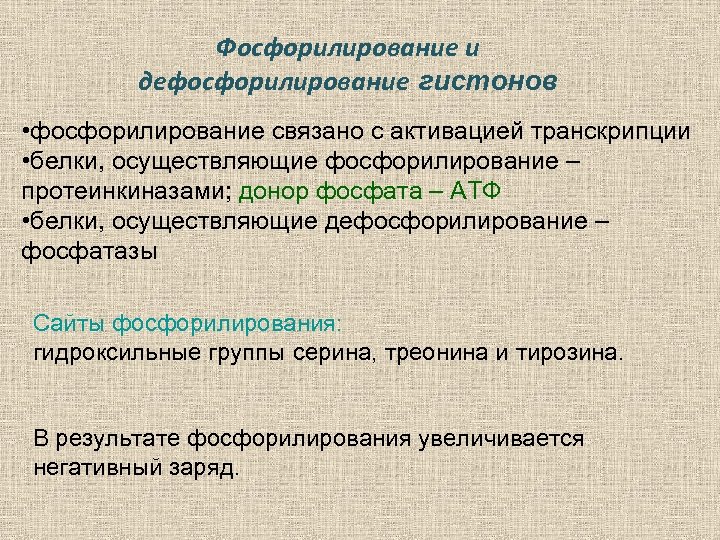 Фосфорилирование и дефосфорилирование гистонов • фосфорилирование связано с активацией транскрипции • белки, осуществляющие фосфорилирование